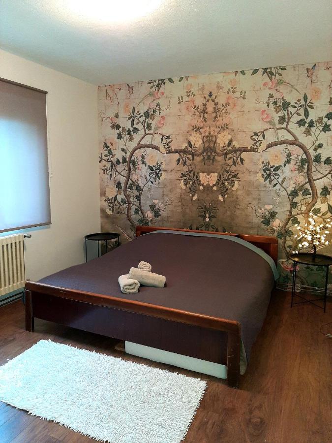 Cosy And Chic... Parking Included Apartament Sarajewo Zewnętrze zdjęcie
